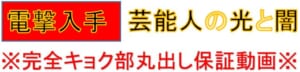 電撃入手 芸能人の光と闇 ※完全キョク部丸出し保証動画