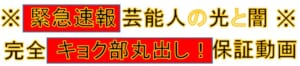 電撃入手 芸能人の光と闇 ※完全キョク部丸出し保証動画