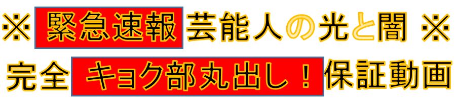 電撃入手 芸能人の光と闇 ※完全キョク部丸出し保証動画※