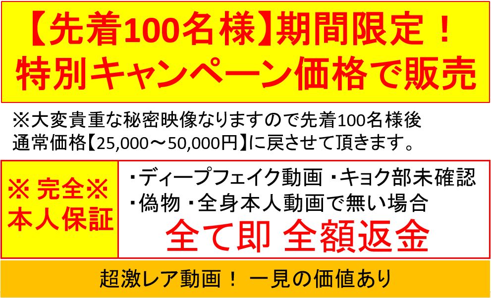 特別キャンペーン価格で販売